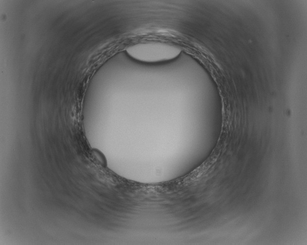X0000081630966200701151116