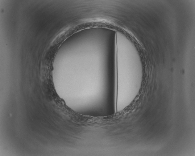X0000081630967200701151116