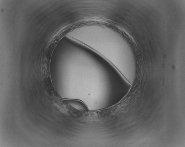 X0000081630968200701151116