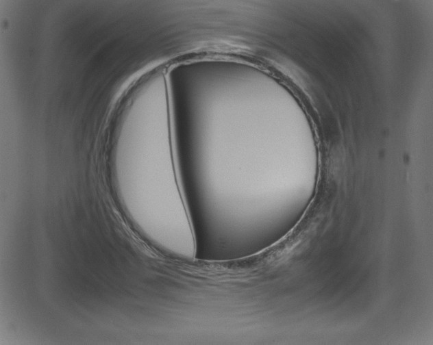 X0000081630971200701151116