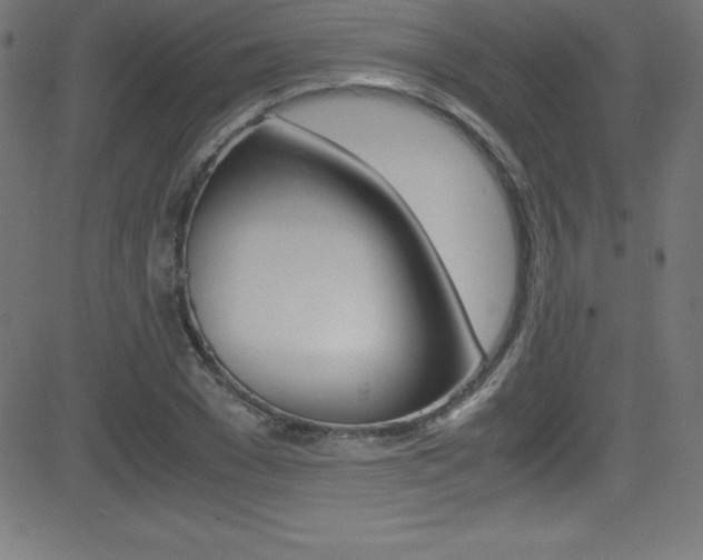 X0000081630977200701151116