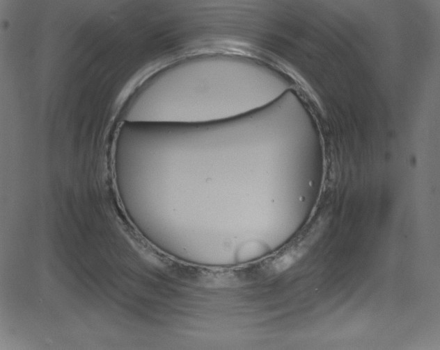X0000081630978200701151116