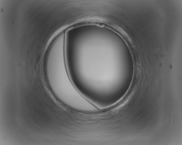 X0000081630981200701151116
