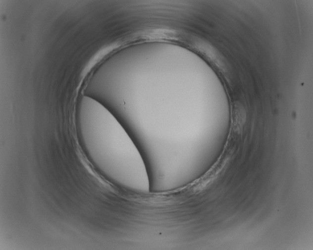 X0000081630986200701151115