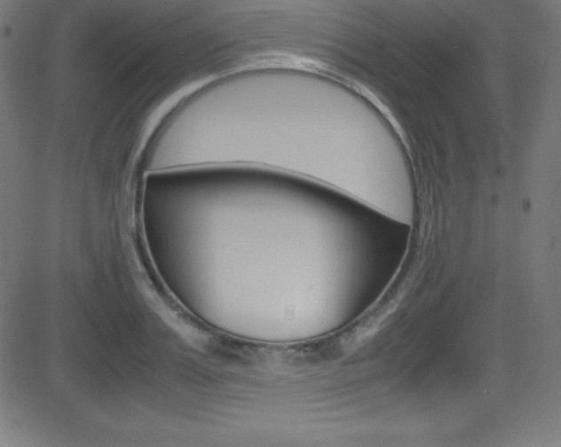 X0000081630987200701151115