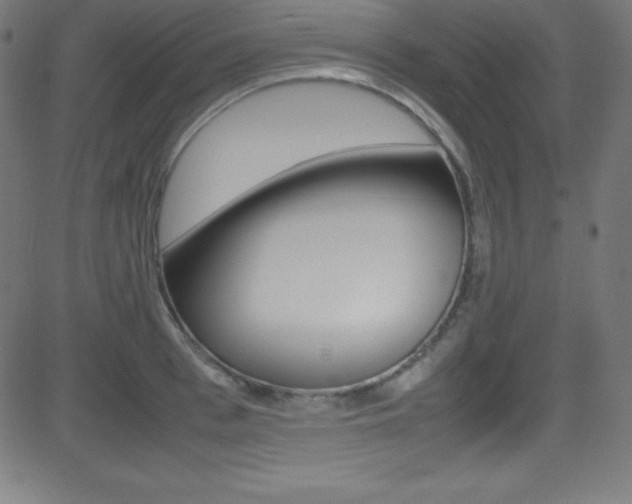 X0000081630993200701151115
