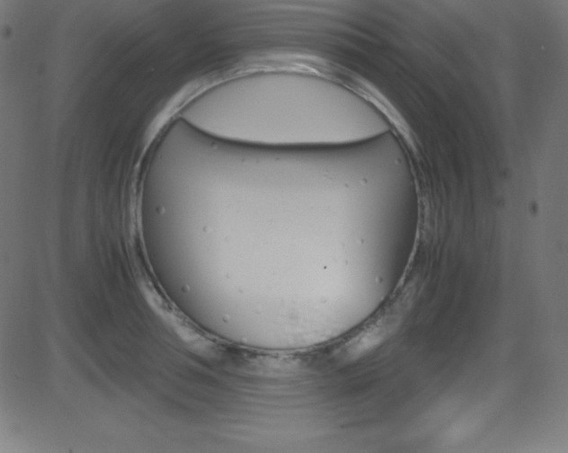 X0000081630994200701151115