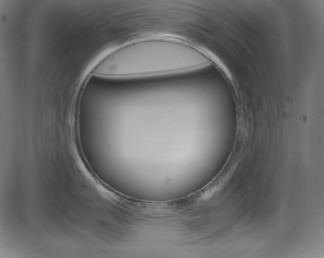 X0000081631007200701151115