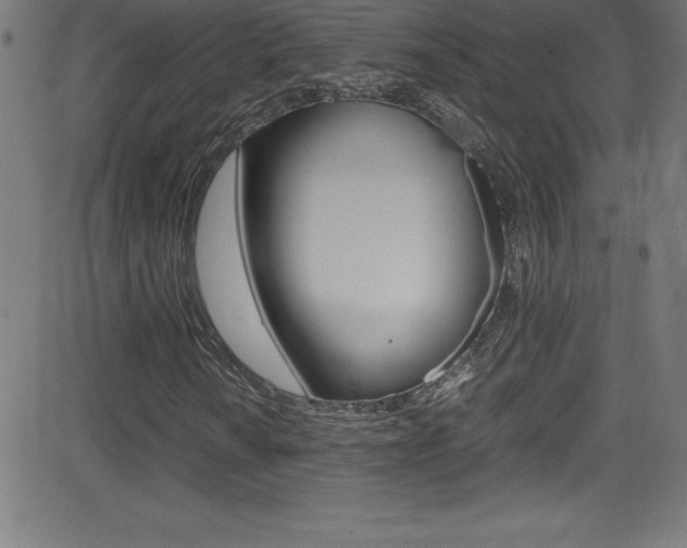 X0000081631010200701151114