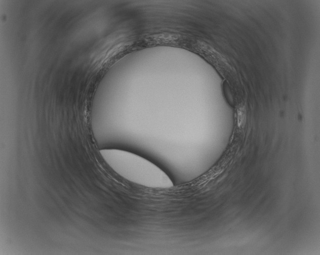 X0000081631011200701151114