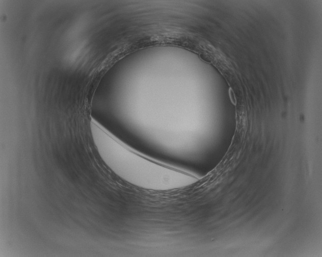 X0000081631012200701151114