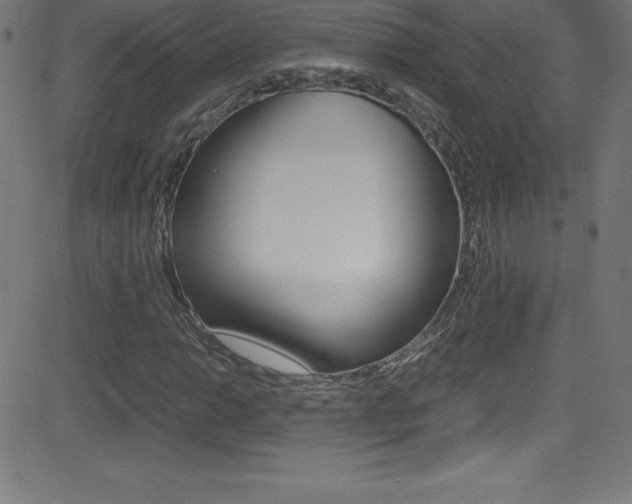 X0000081631014200701151114