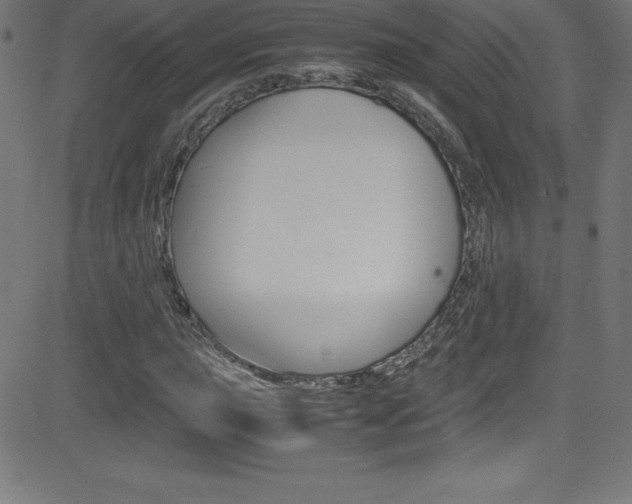 X0000081631015200701151114