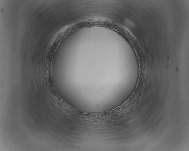 X0000081631016200701151114