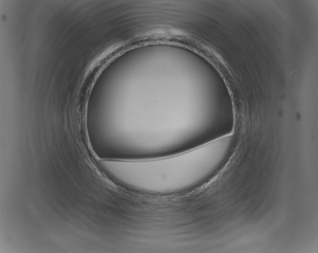 X0000081631018200701151114