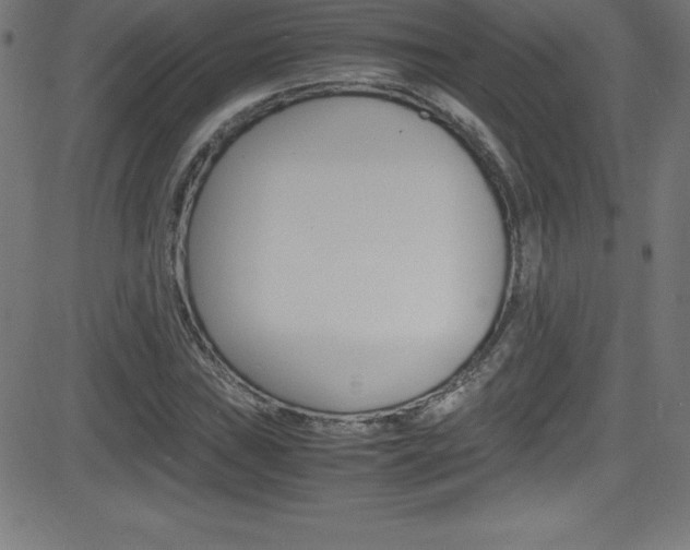 X0000081631019200701151114
