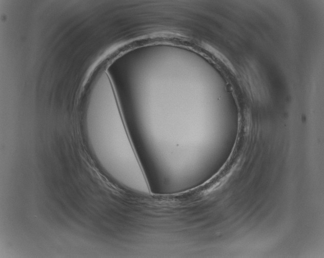 X0000081631021200701151114