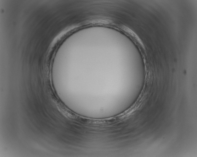 X0000081631027200701151115
