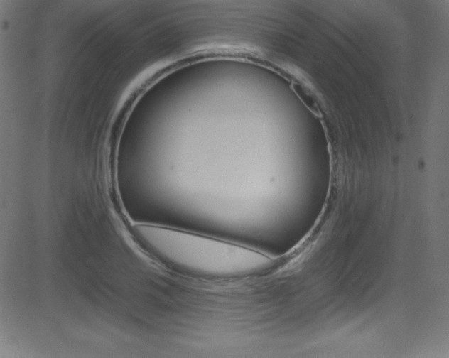 X0000081631030200701151115
