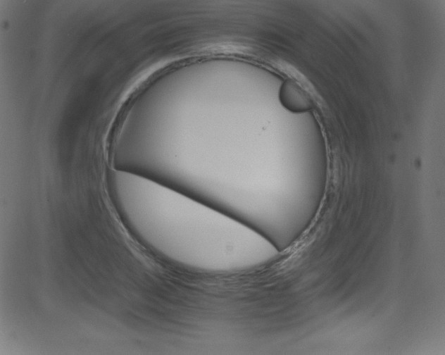 X0000081631031200701151115