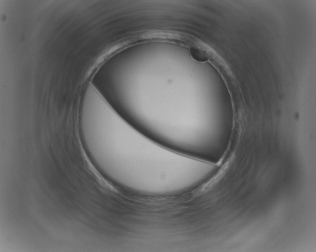 X0000081631033200701151115