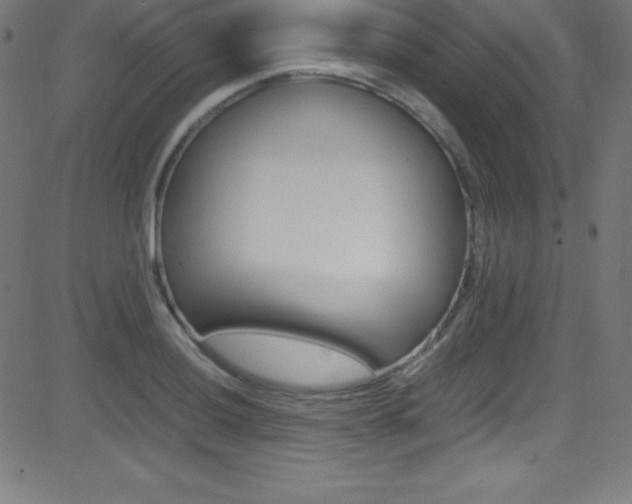 X0000081631036200701151115