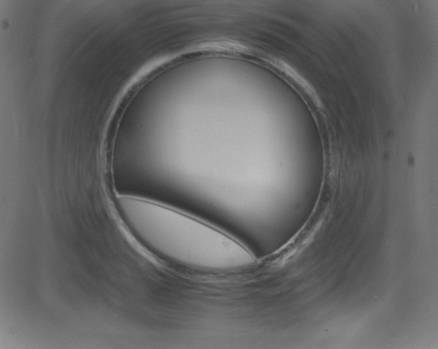 X0000081631037200701151115