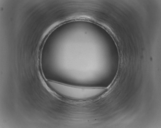 X0000081631038200701151115