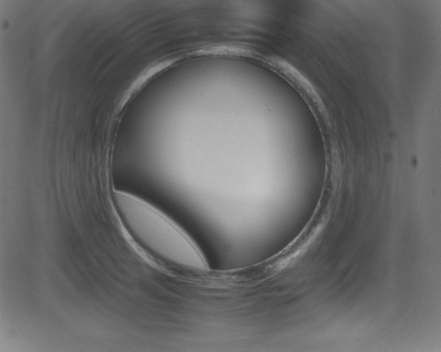 X0000081631041200701151115