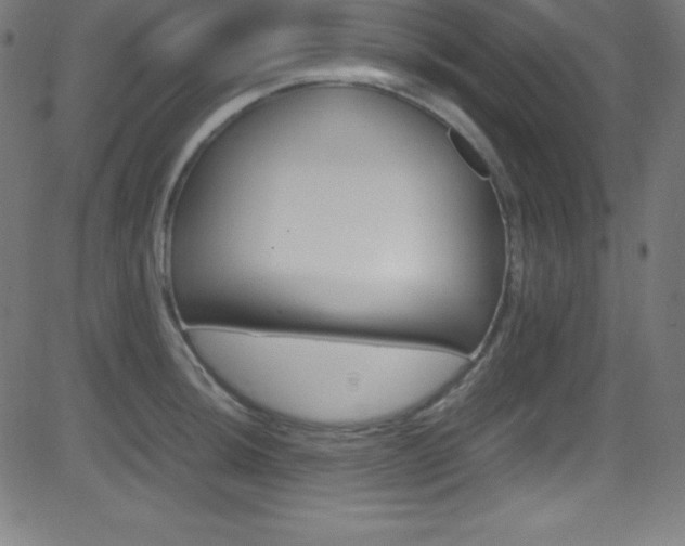 X0000081631044200701151115