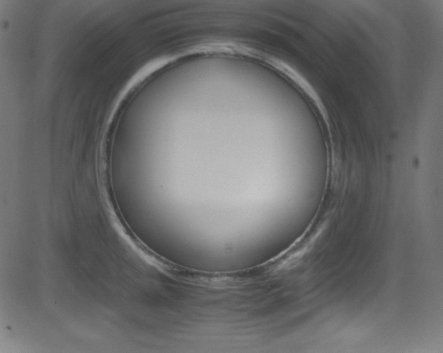 X0000081631045200701151115