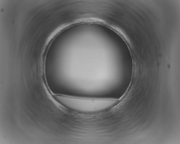 X0000081631046200701151115