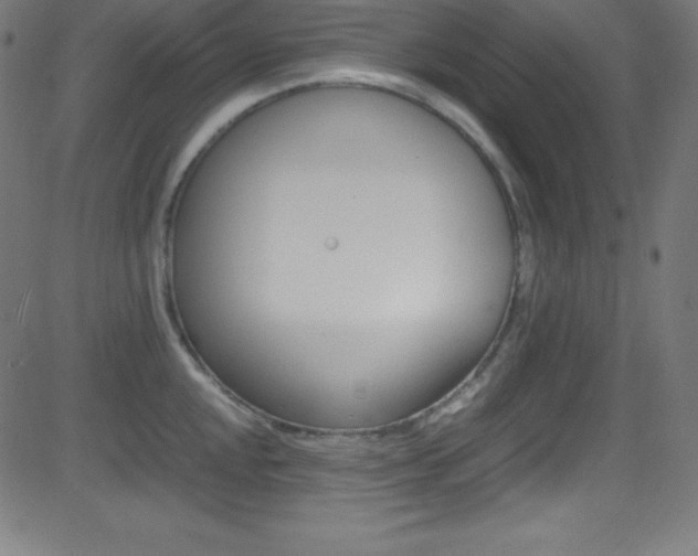 X0000081631048200701151115