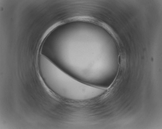 X0000081631050200701151115