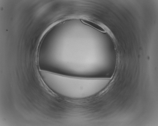 X0000081631052200701151115