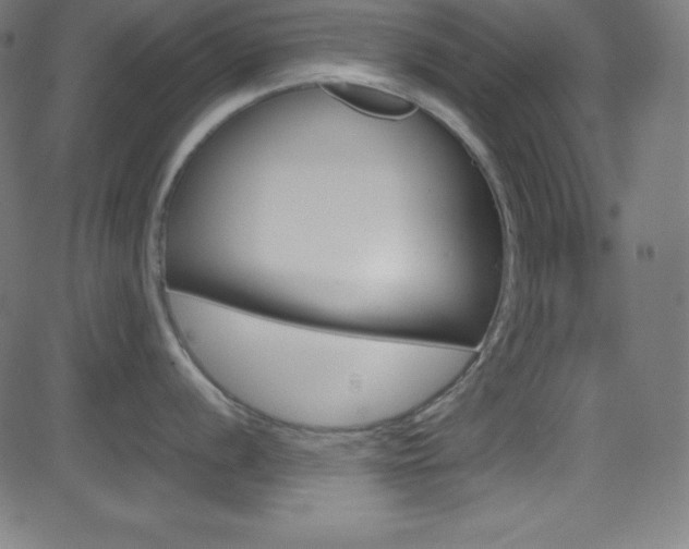 X0000081631056200701151115