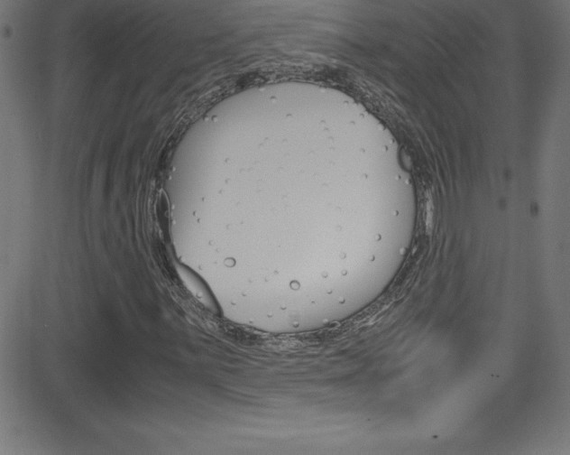 X0000081631059200701151114
