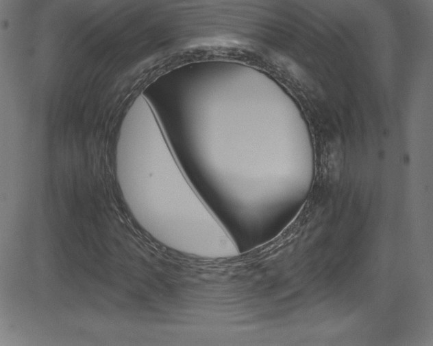 X0000081631062200701151114