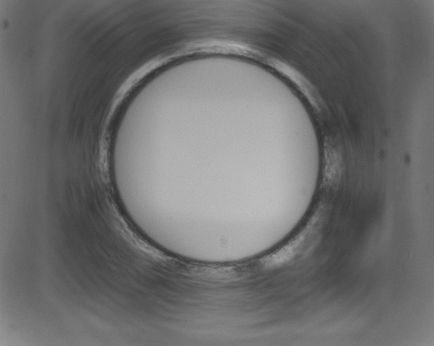 X0000081631074200701151114