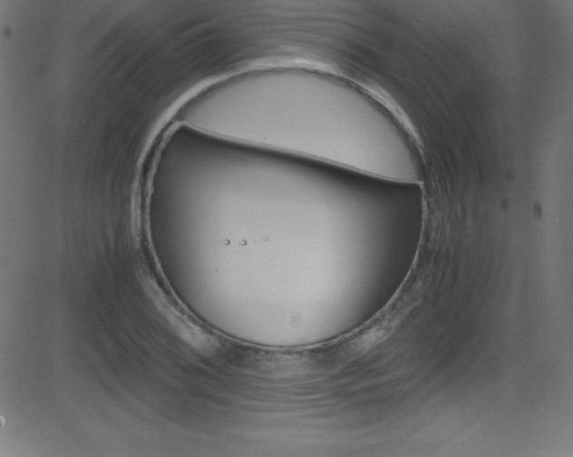 X0000081631076200701151114