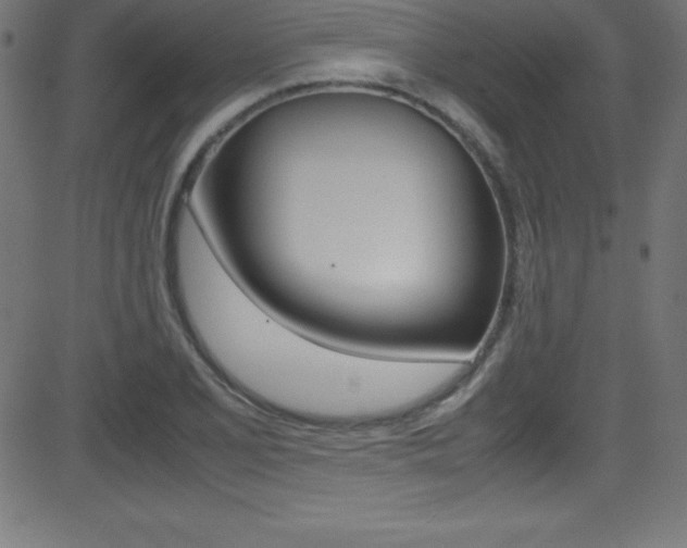 X0000081631077200701151114