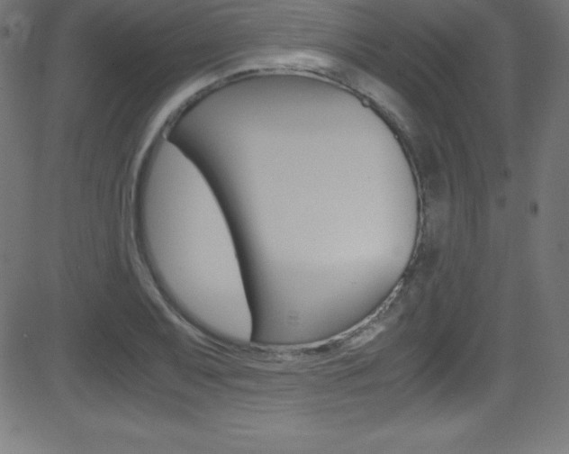 X0000081631079200701151114