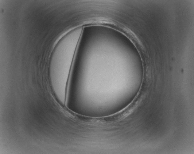 X0000081631081200701151114