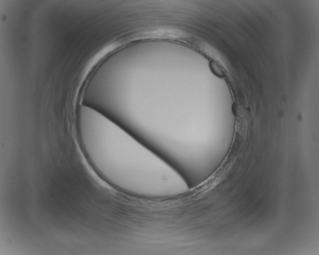 X0000081631087200701151114