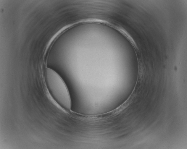 X0000081631092200701151114