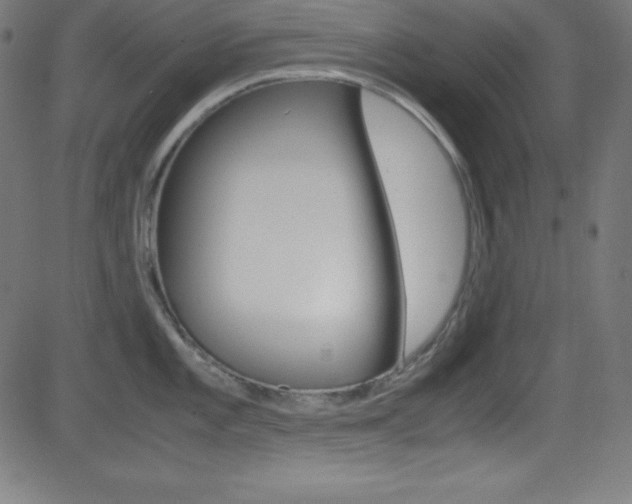 X0000081631101200701151114
