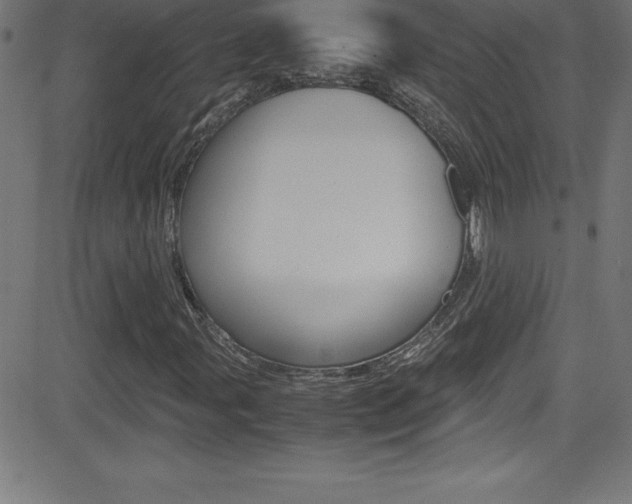 X0000081631107200701151113