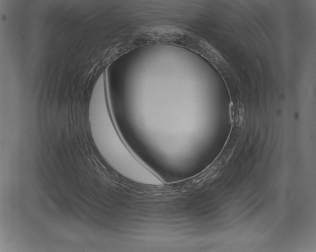 X0000081631108200701151113