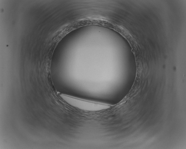X0000081631110200701151113