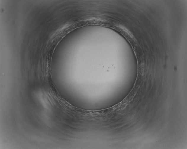 X0000081631111200701151113